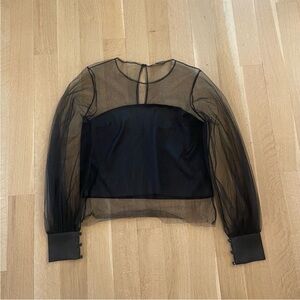 Zara sheer sleeve organza blouse